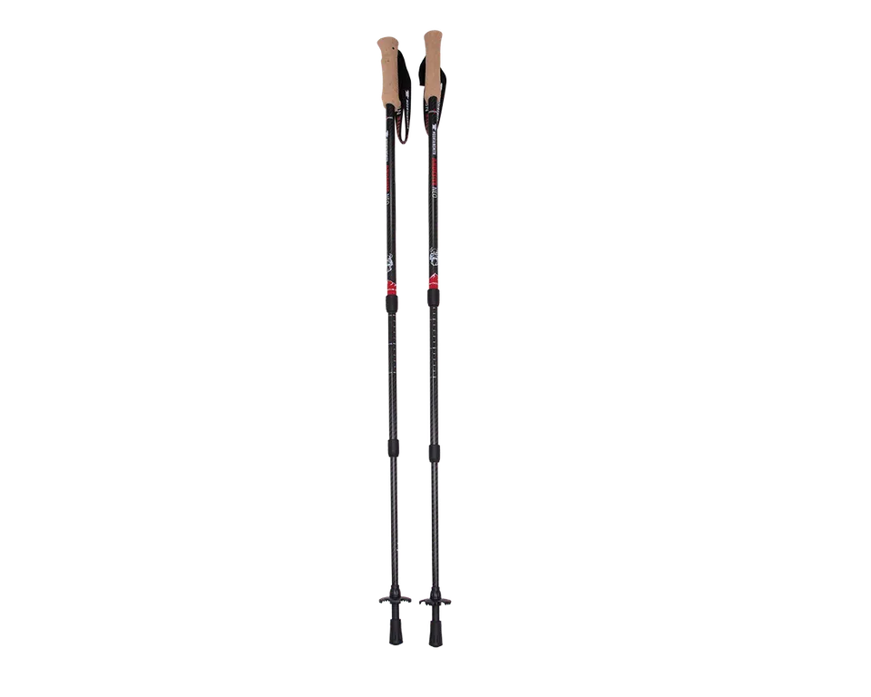 mountainsmith-andesite-neo-trekking-poles image 1