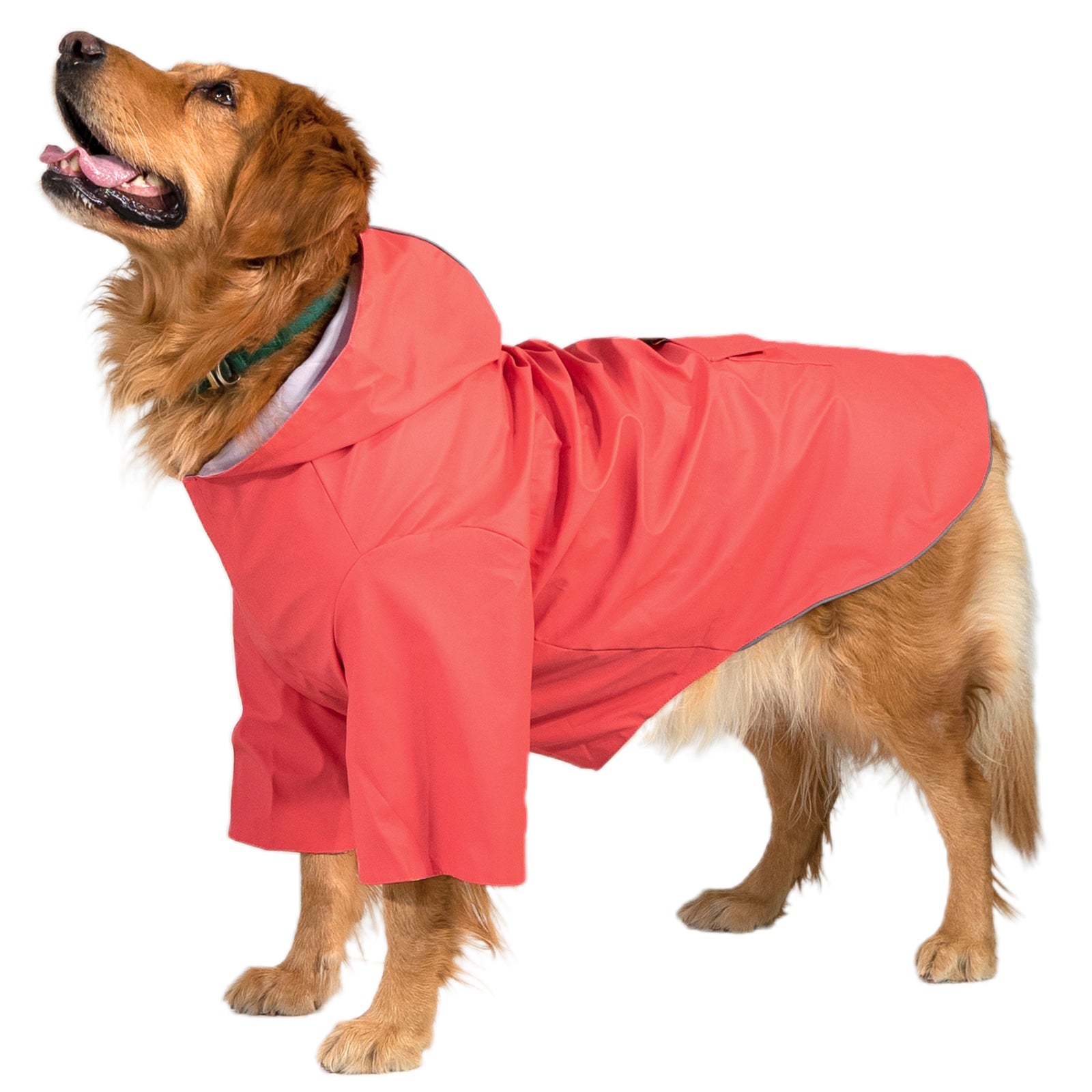 kingcamp-pets-dog-raincoat-xxxl-waterproof-with-reflective-strips image 6