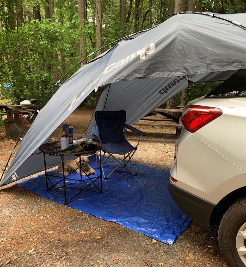 Great shelter