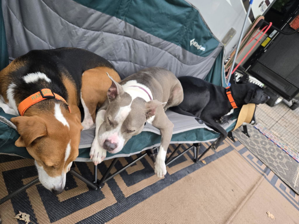 So roomy!