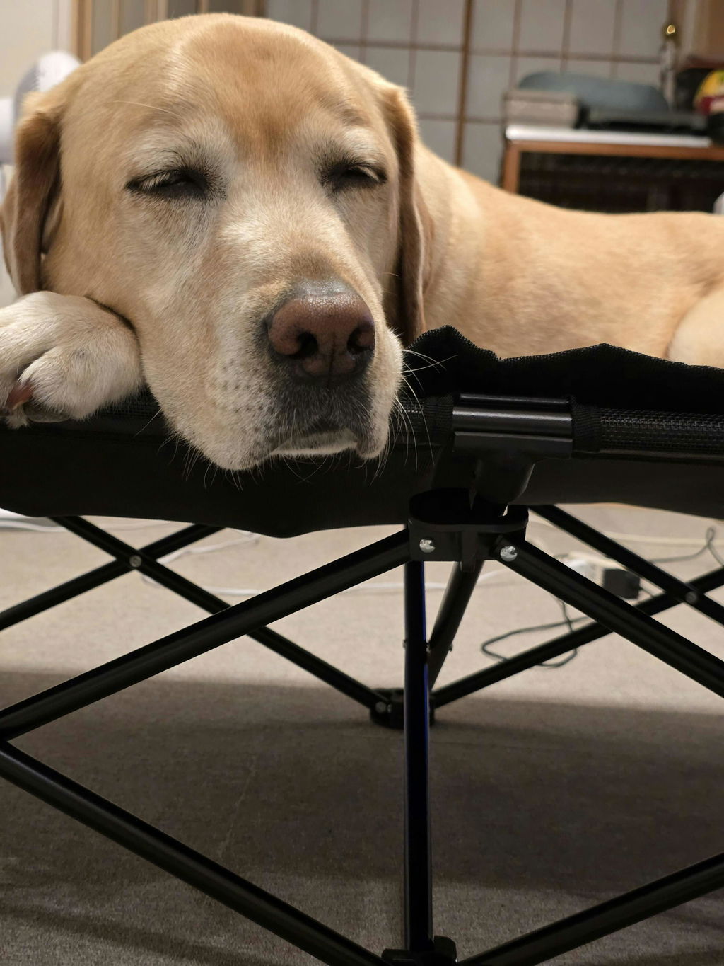 Good bed, but a bit small