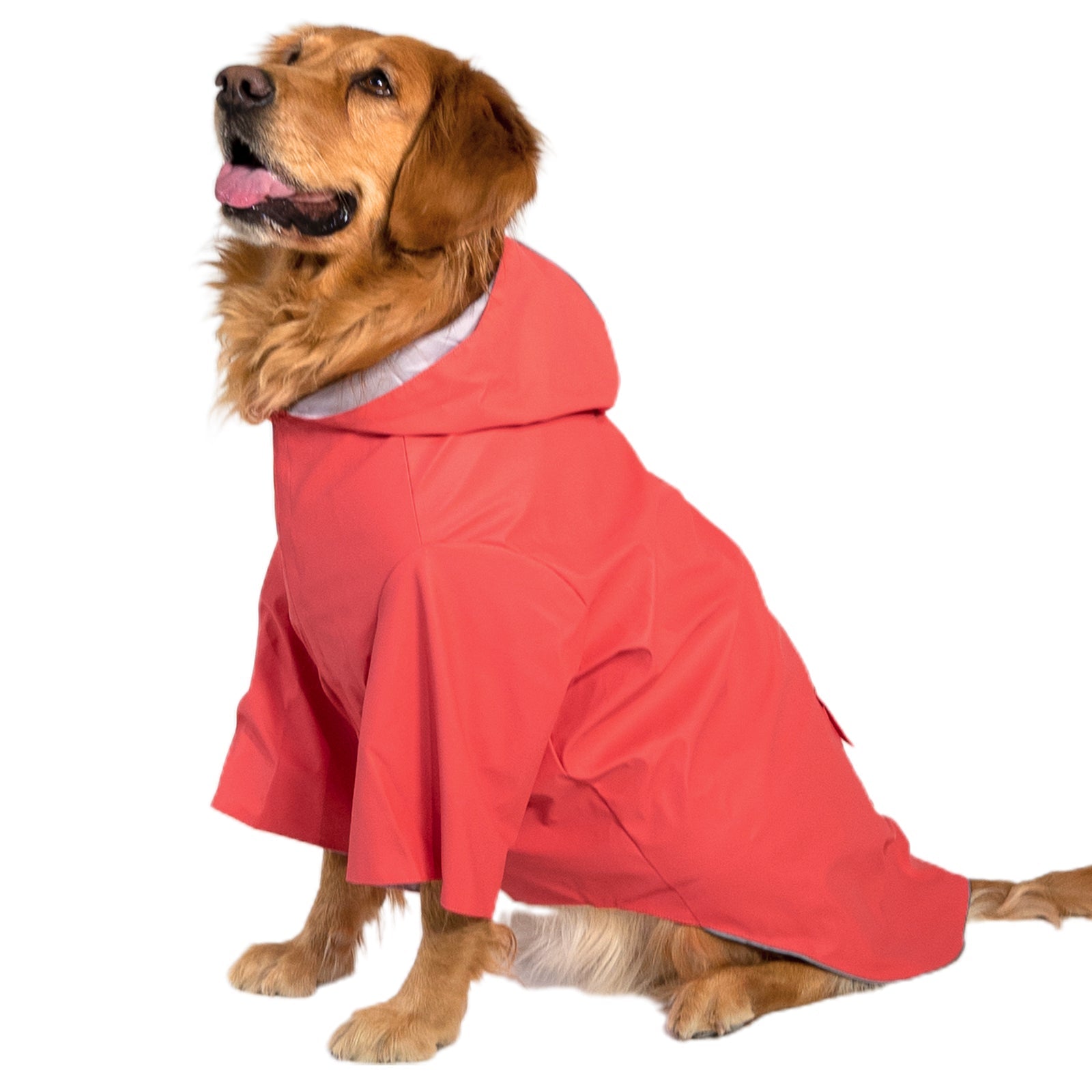 kingcamp-pets-dog-raincoat-xxxl-waterproof-with-reflective-strips image 2