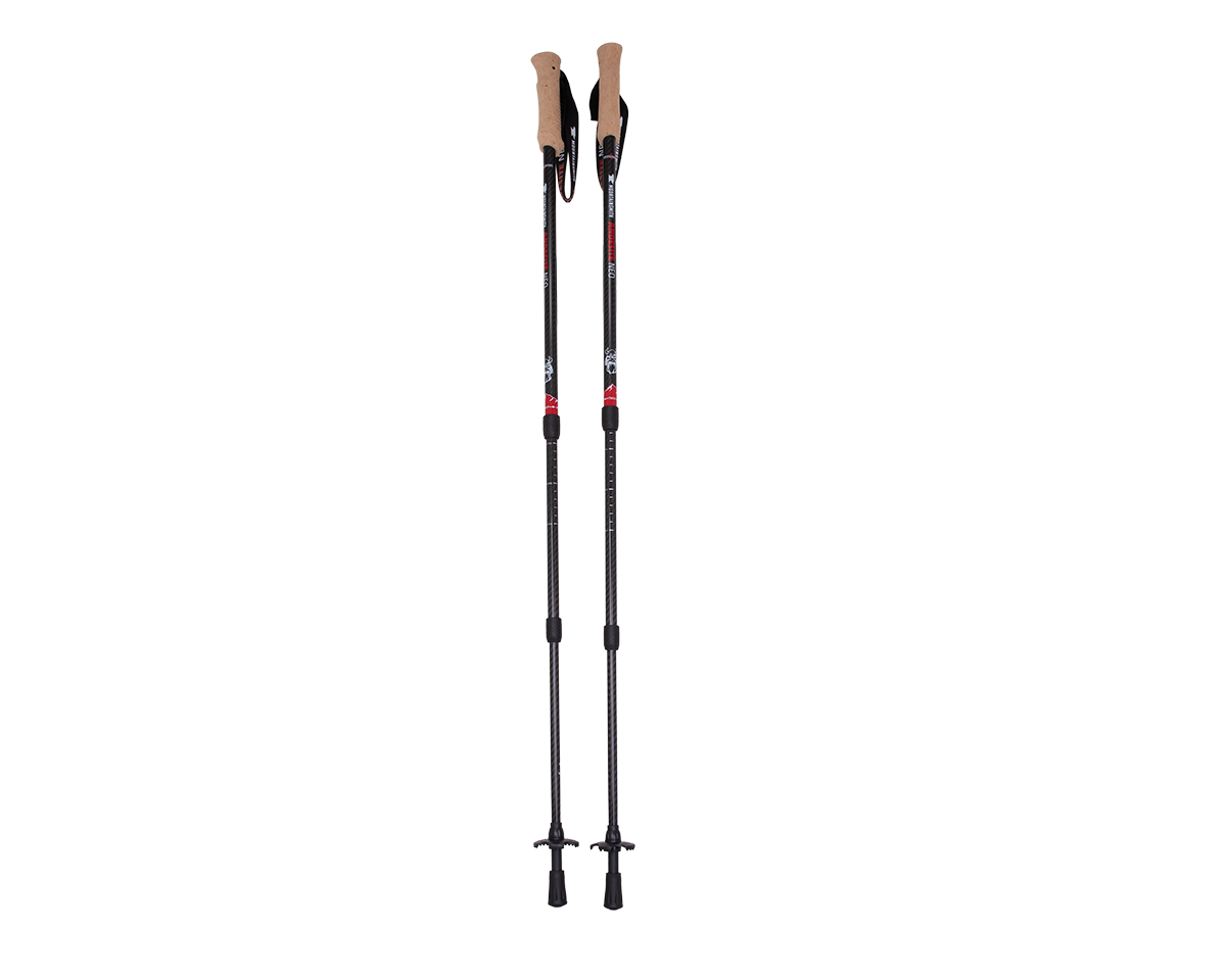 mountainsmith-andesite-neo-trekking-poles image 1