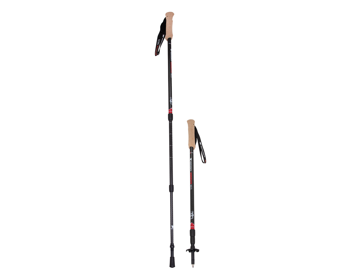 mountainsmith-andesite-neo-trekking-poles image 2
