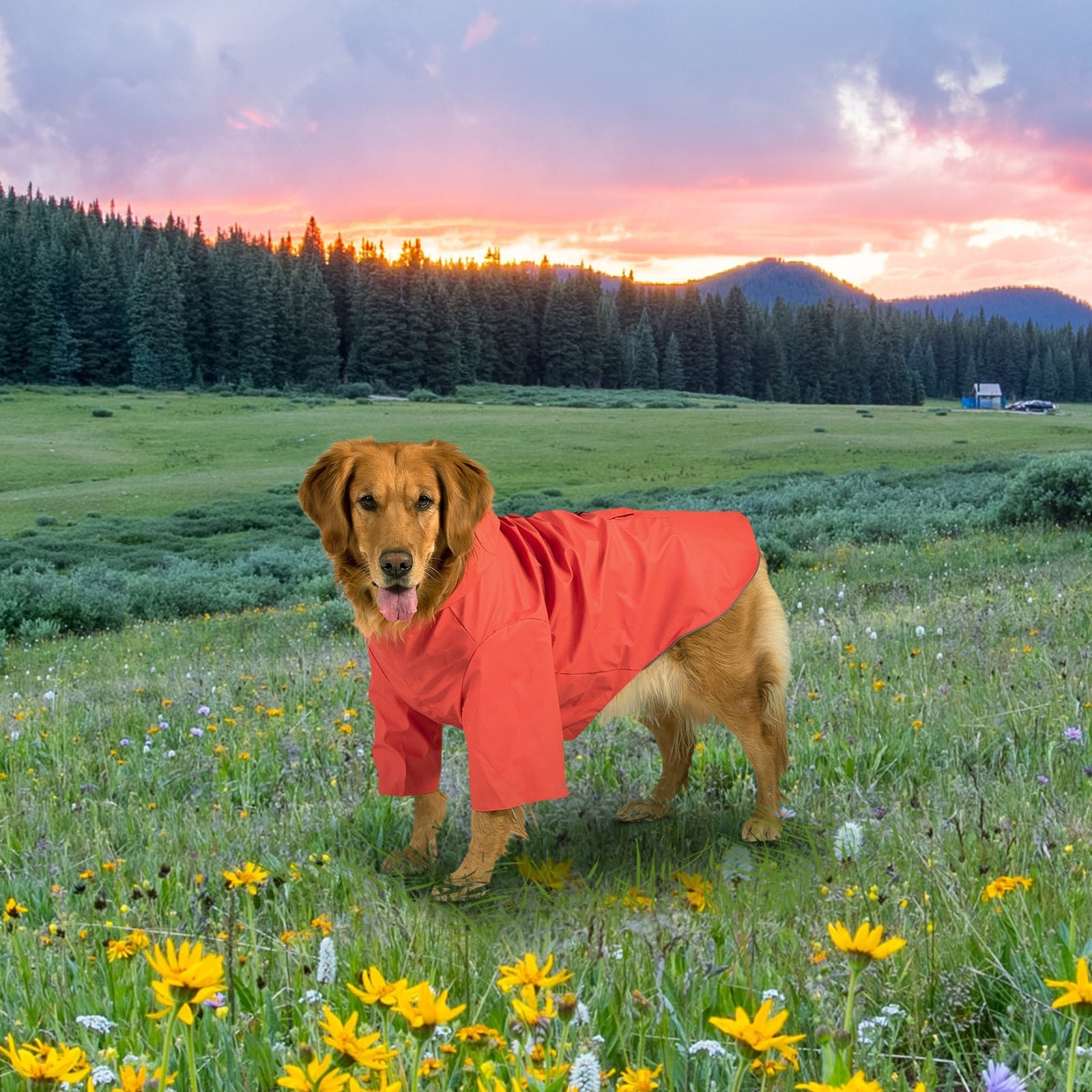 kingcamp-pets-dog-raincoat-xxxl-waterproof-with-reflective-strips image 3