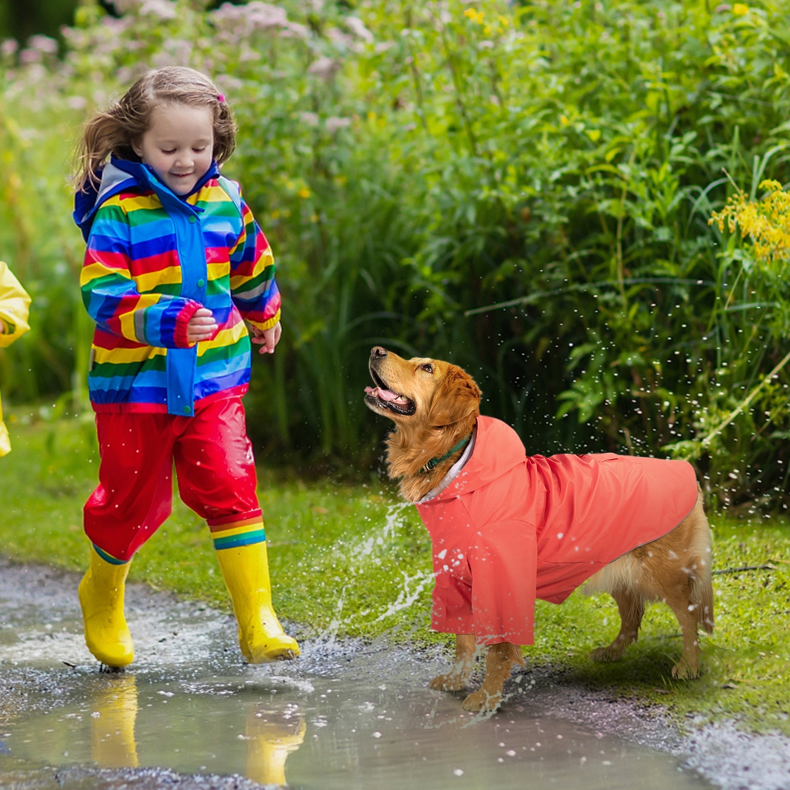 kingcamp-pets-dog-raincoat-xxxl-waterproof-with-reflective-strips image 4