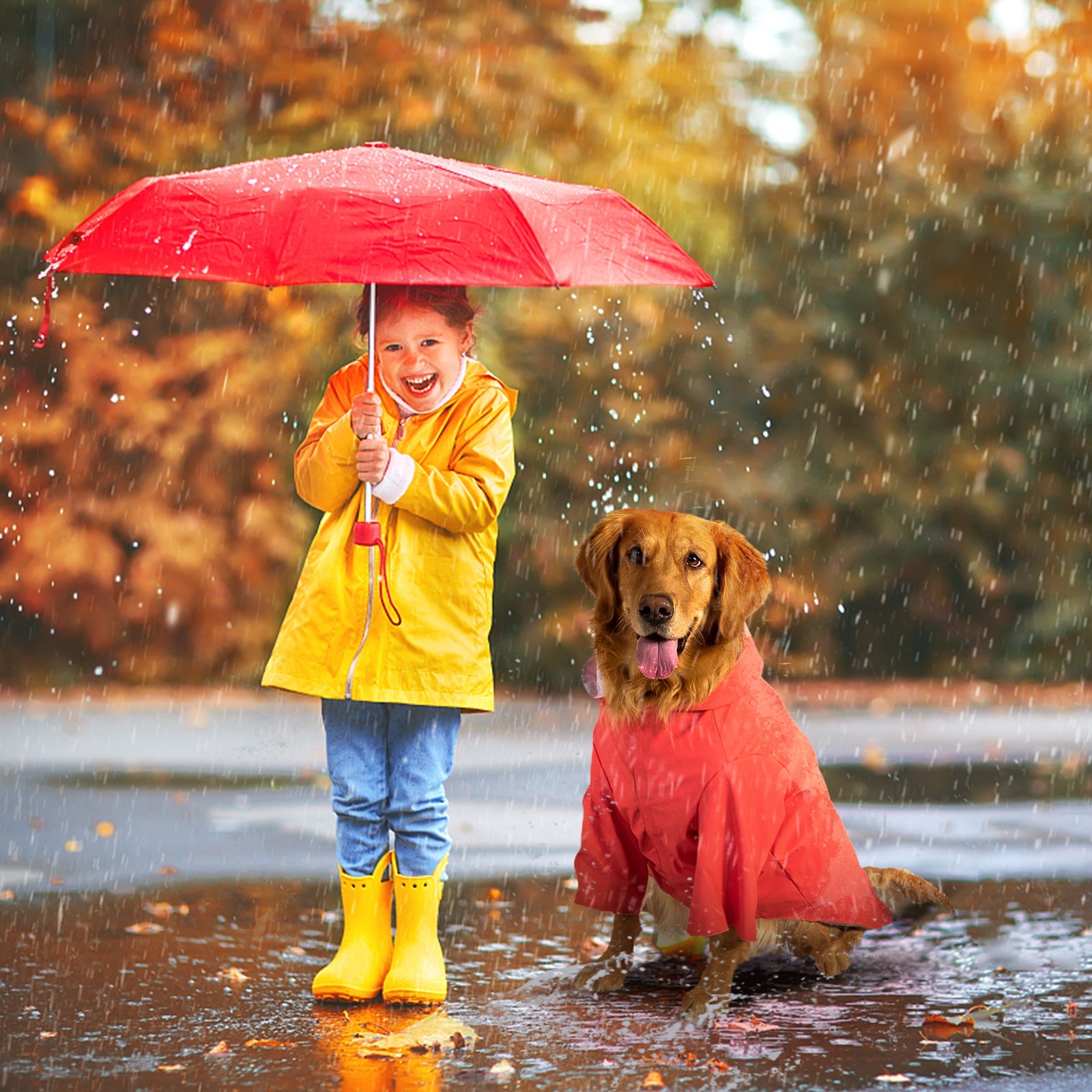 kingcamp-pets-dog-raincoat-xxxl-waterproof-with-reflective-strips image 1
