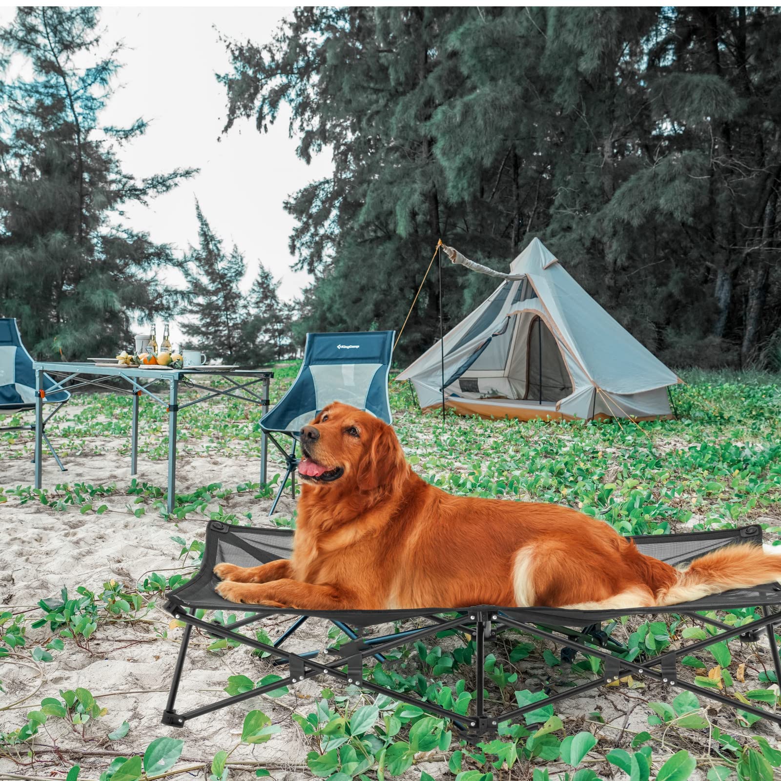 kingcamp-pets-sedum-l-plus-dog-bed image 2