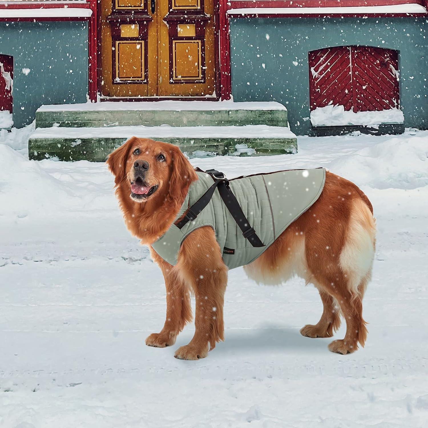 kingcamp-pets-winter-dog-coat-with-built-in-harness-and-velcro-straps-adjustable image 7