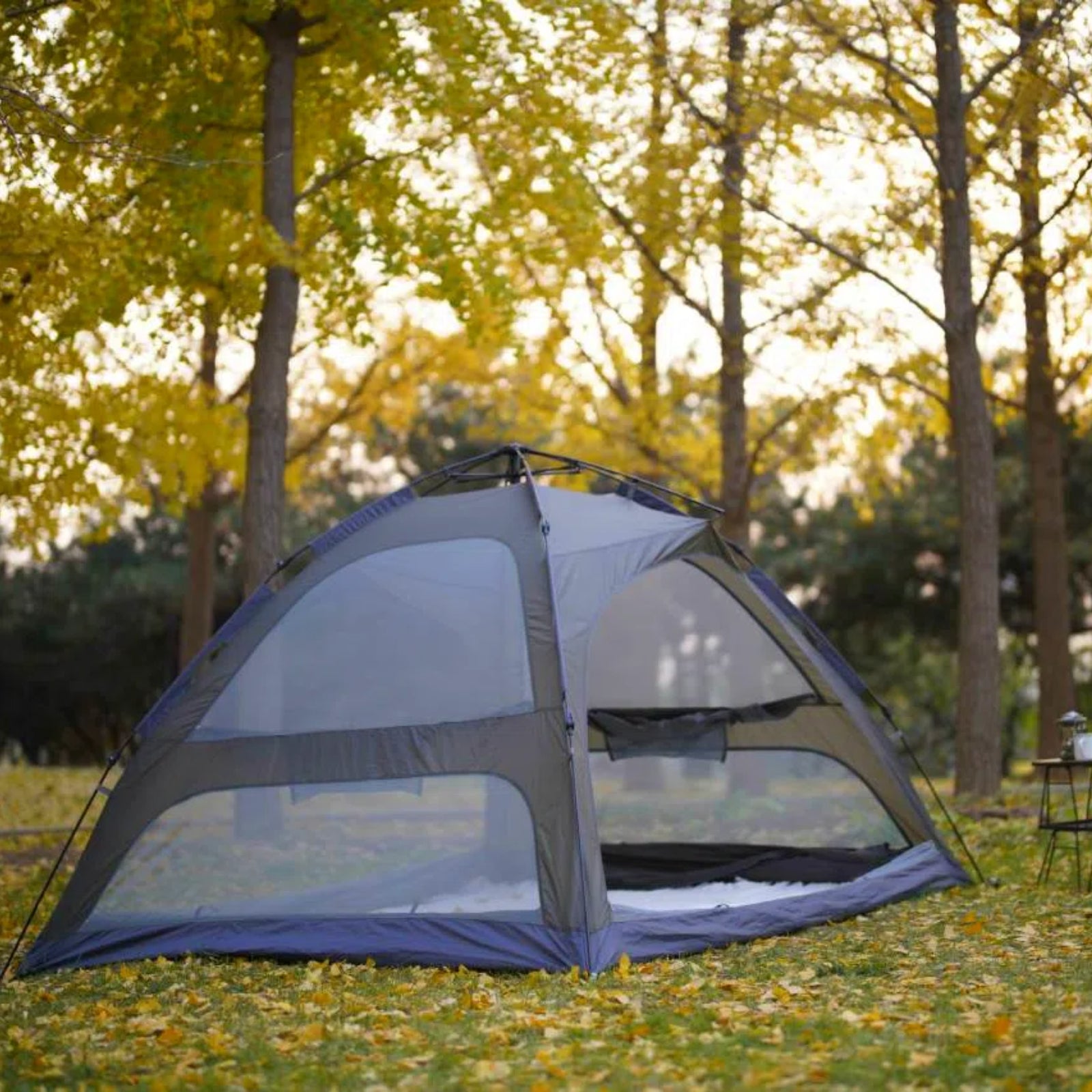 kingcamp-quick-open-5-person-pop-up-camping-tent-instant-setup-spacious-family-s image 2