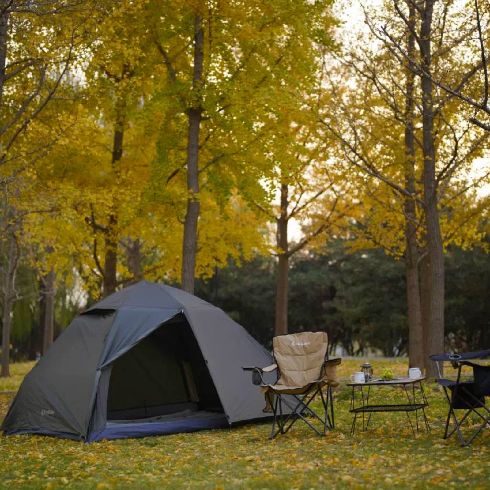 kingcamp-quick-open-5-person-pop-up-camping-tent-instant-setup-spacious-family-s image 3