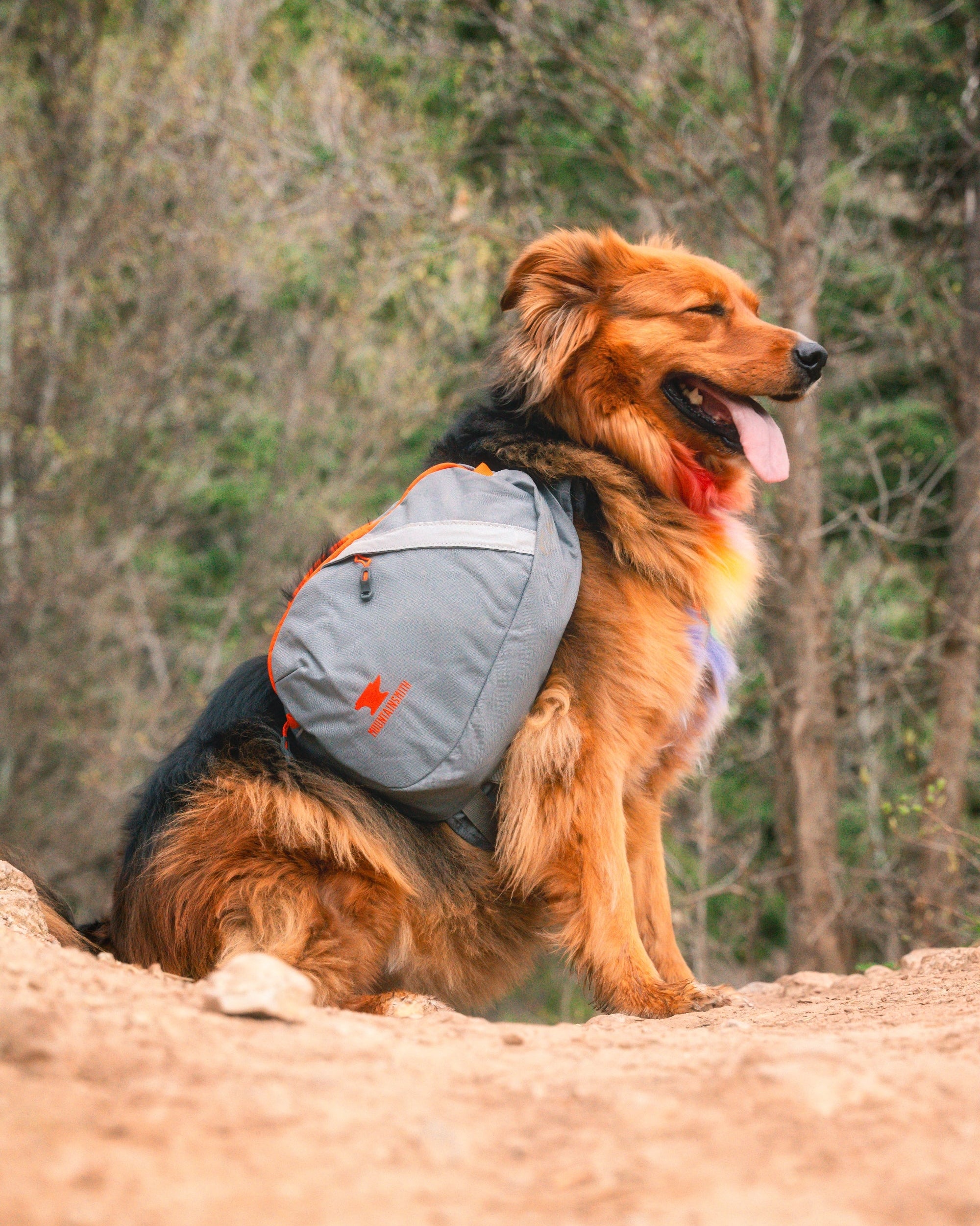 mountainsmith-k9-dog-pack-adjustable-trail-dog-backpack-with-harness image 8